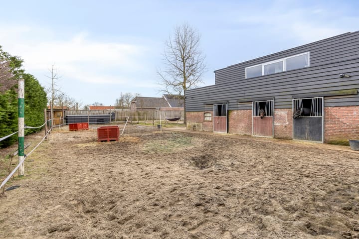 Foto 3 van Scheidingstraat 16