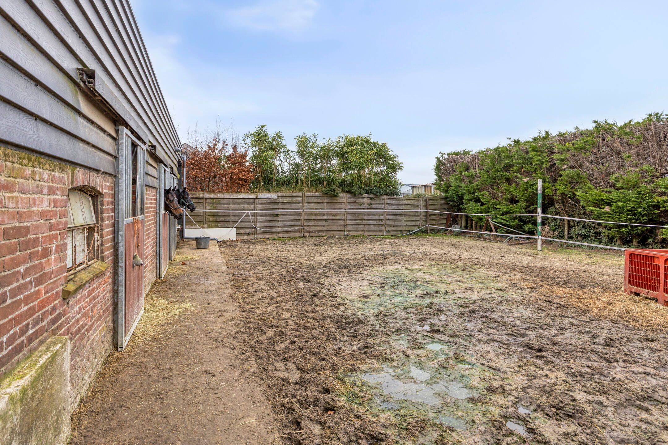 Spacious Residential Farmhouse with Annex in Elshout — 62