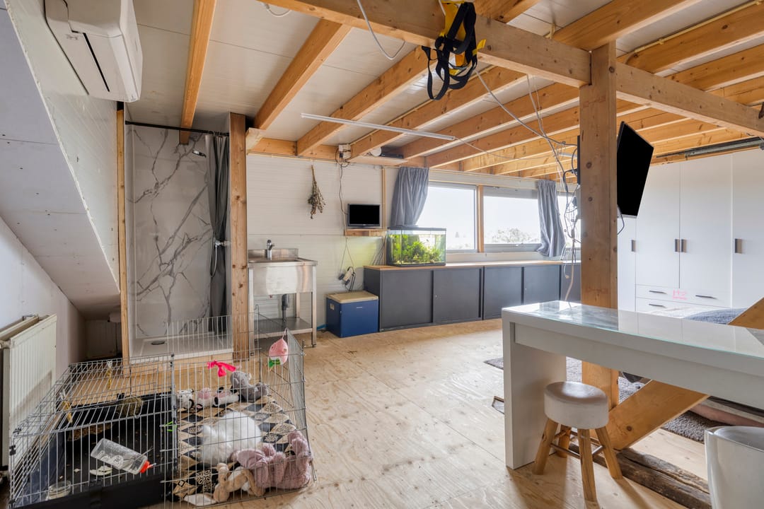 Spacious Residential Farmhouse with Annex in Elshout — 72