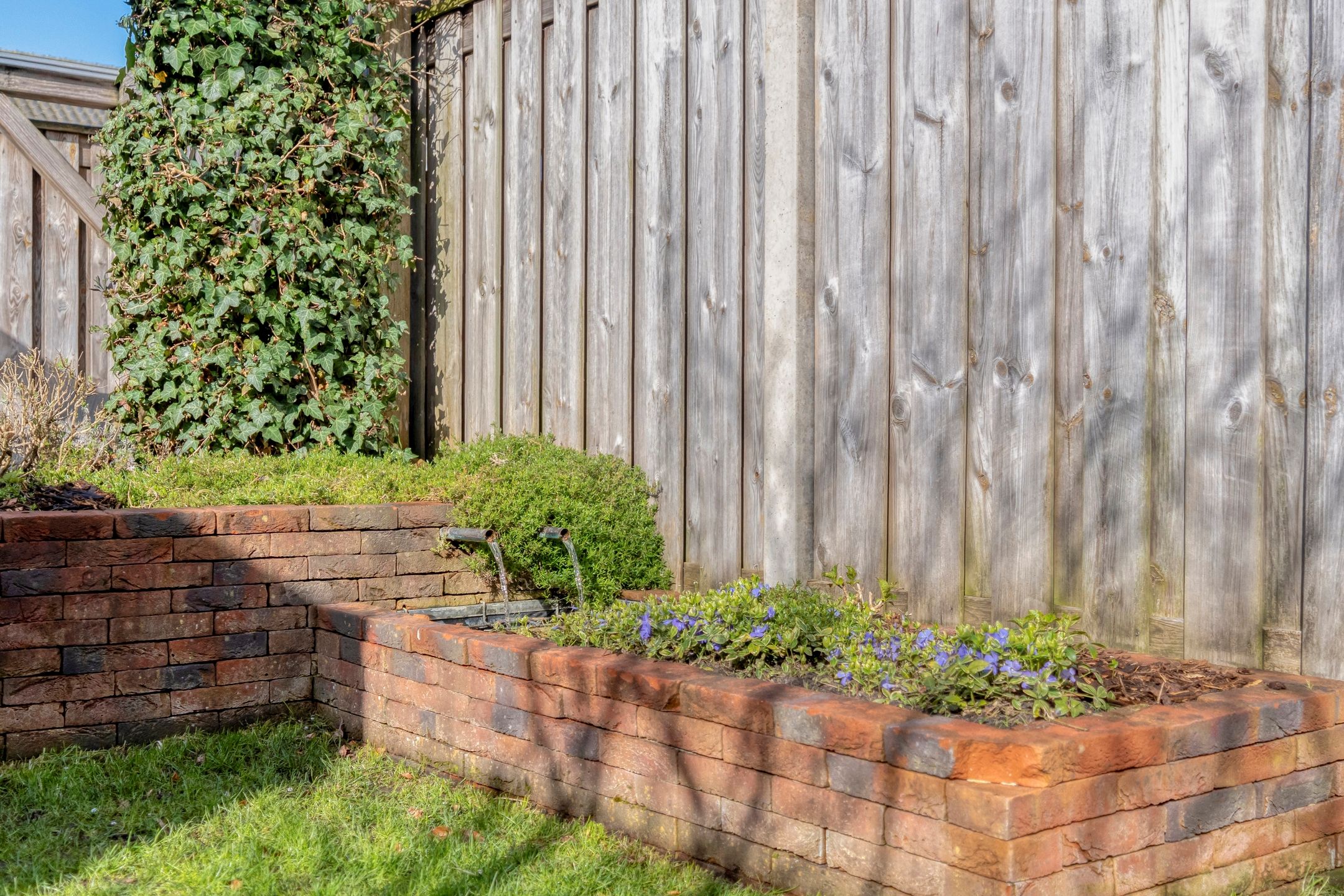 Foto 48 van Bronforel 8