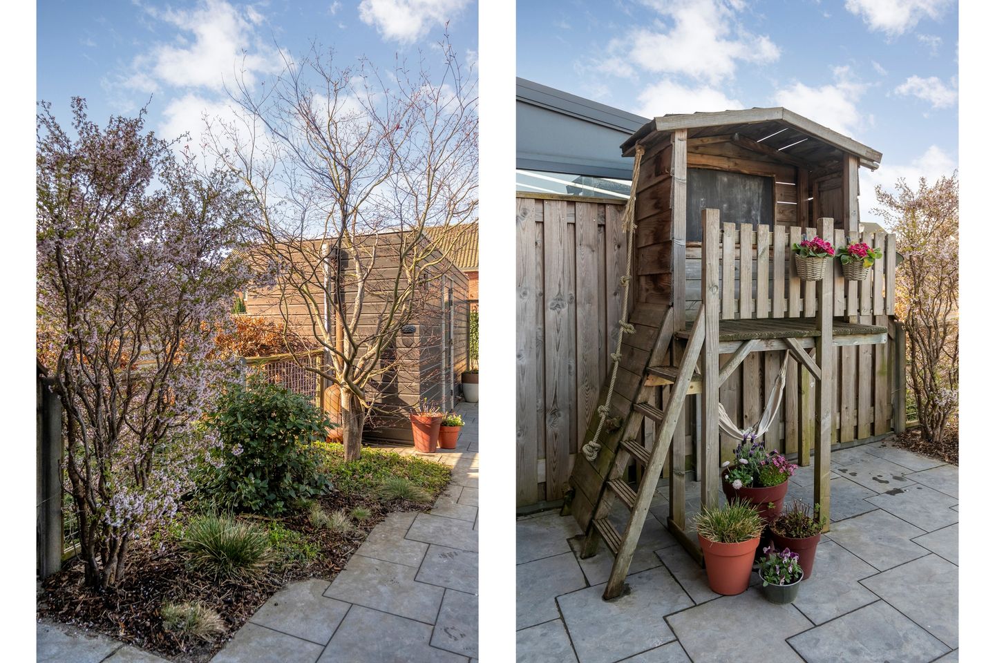 Foto 49 van Bronforel 8