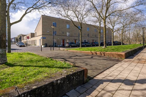 undefined main image