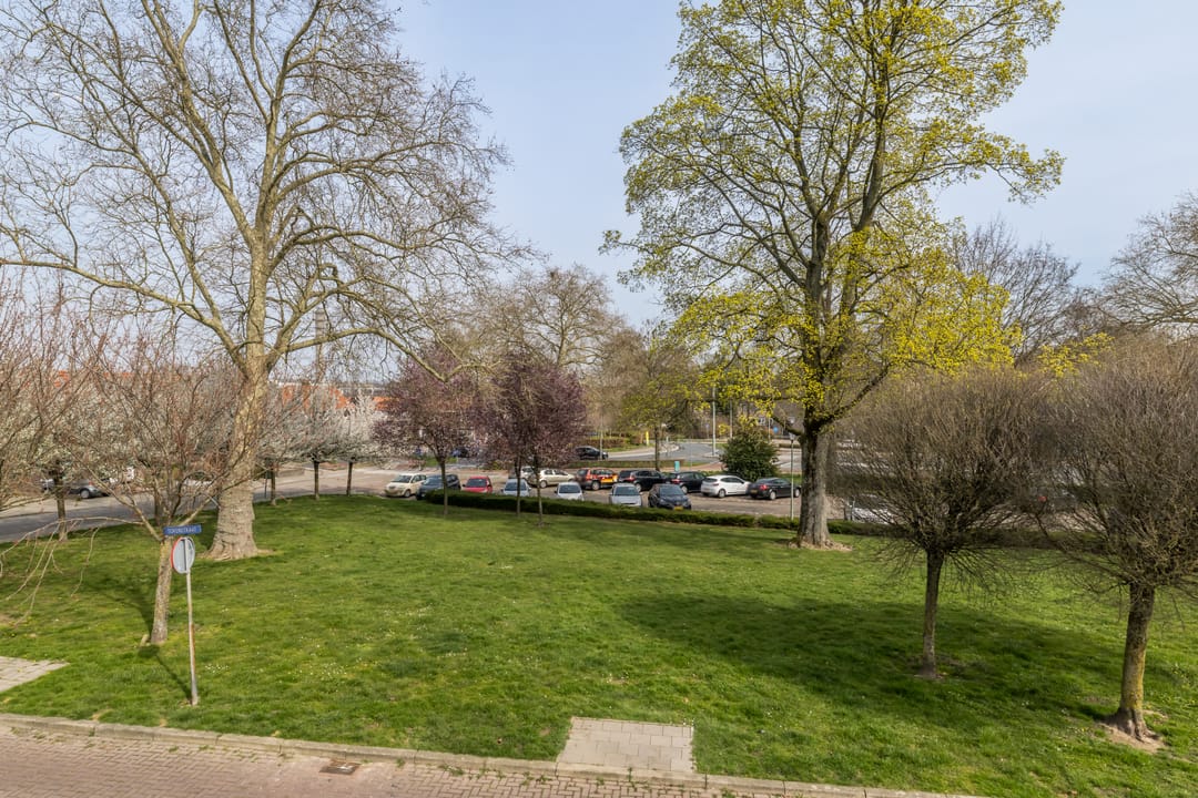 Photo 31 of Torenstraat 17