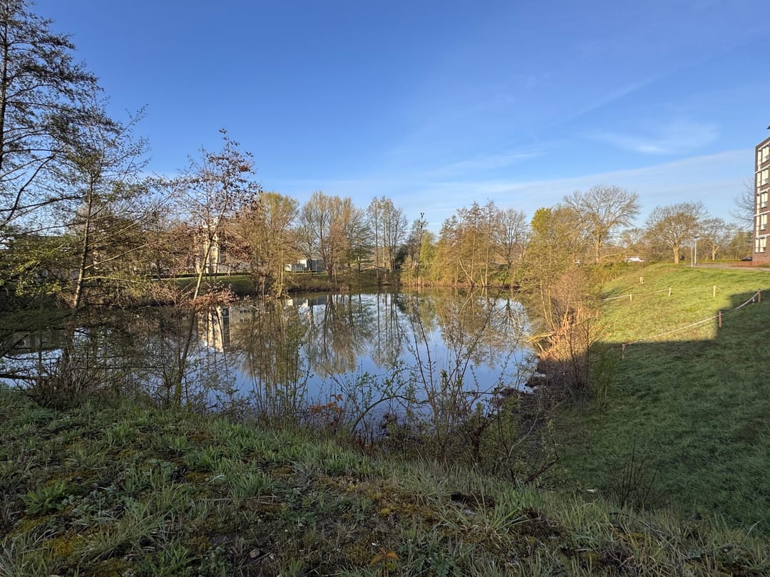 Photo 17 of Erasmusdomein 33-B