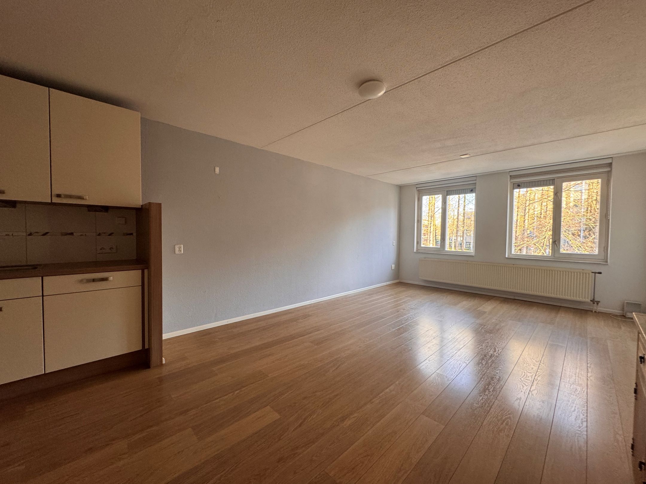 Photo 6 of Erasmusdomein 33-B