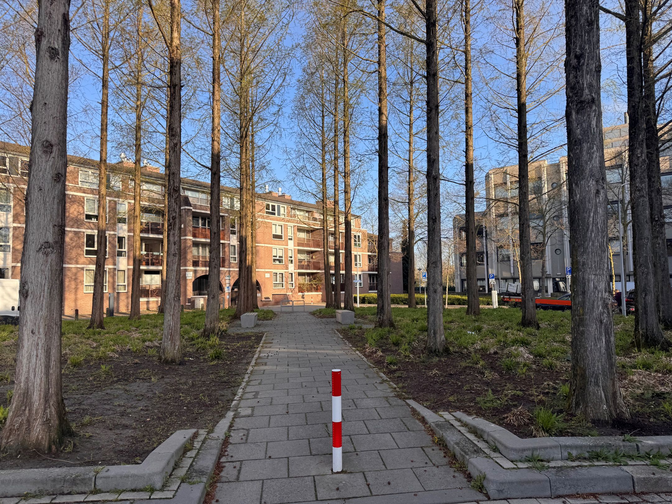 Photo 15 of Erasmusdomein 33-B