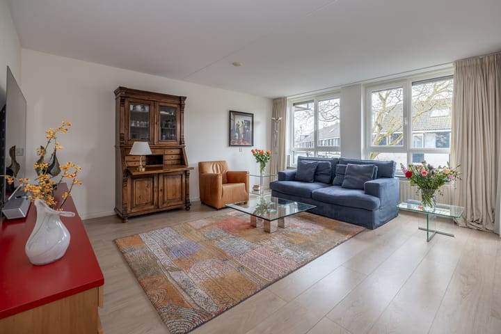 Photo 2 of Aalscholver 27