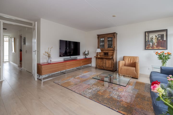 Photo 3 of Aalscholver 27