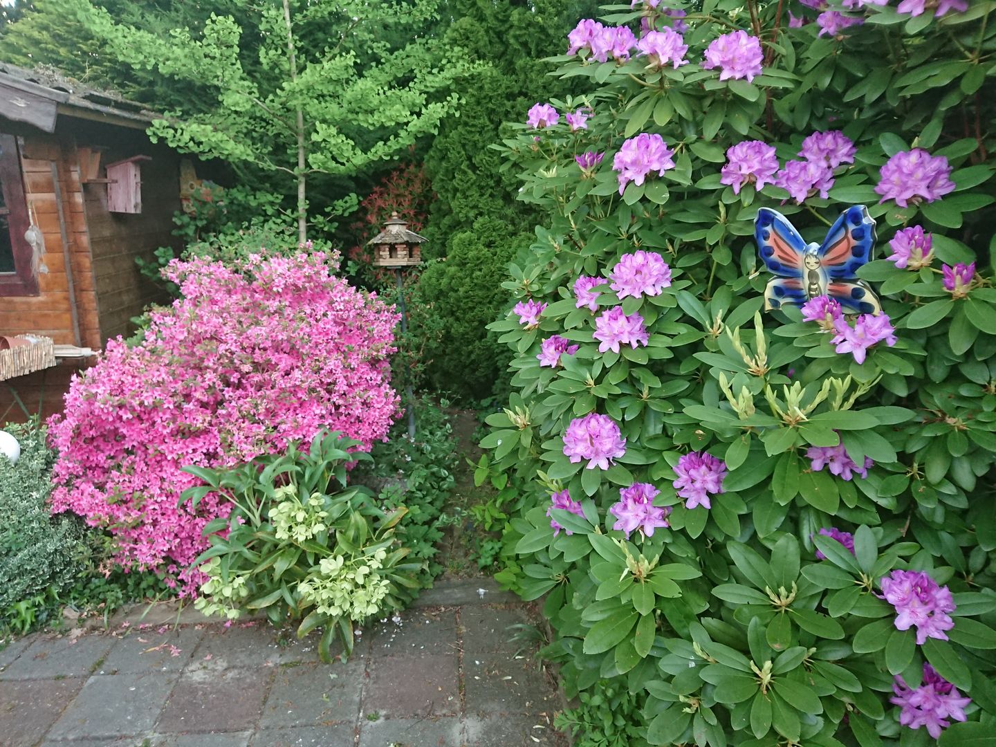 Foto 35 van Lippe-Biesterfeldstraat 29