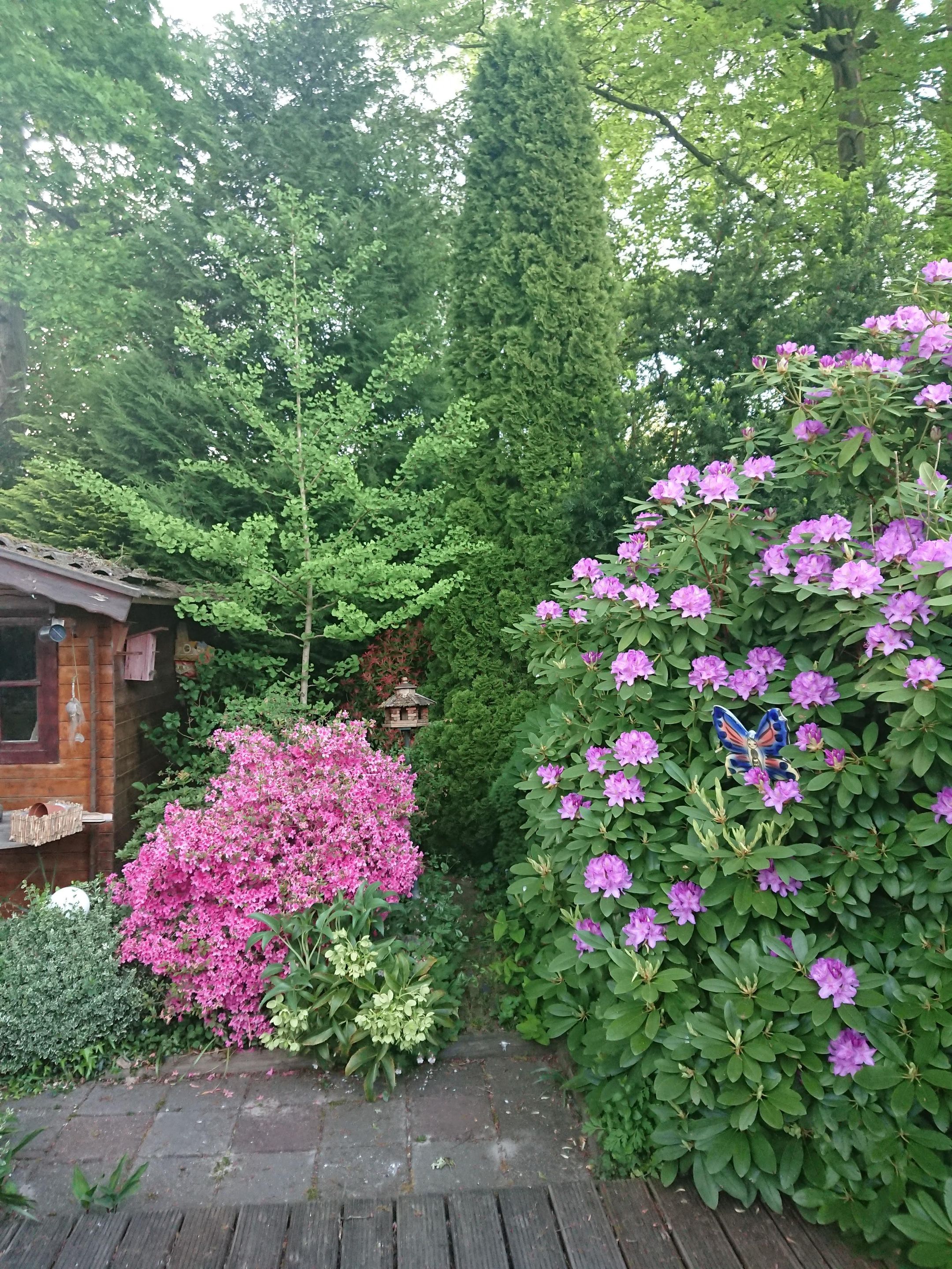 Foto 36 van Lippe-Biesterfeldstraat 29