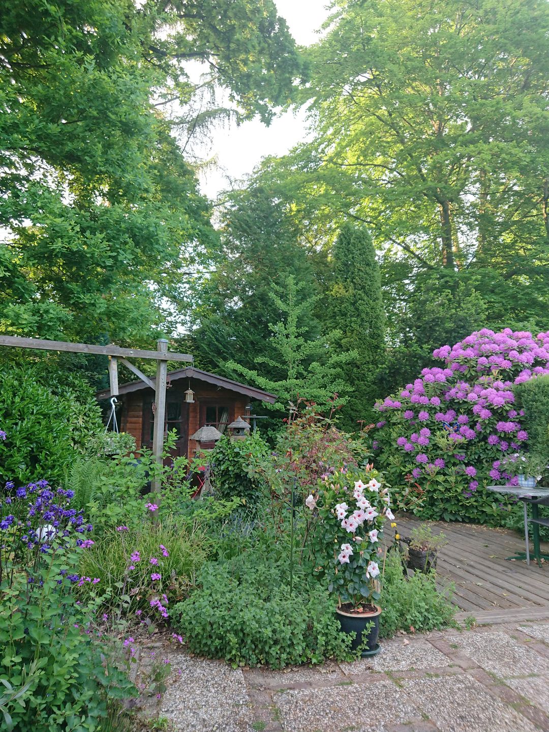 Foto 37 van Lippe-Biesterfeldstraat 29