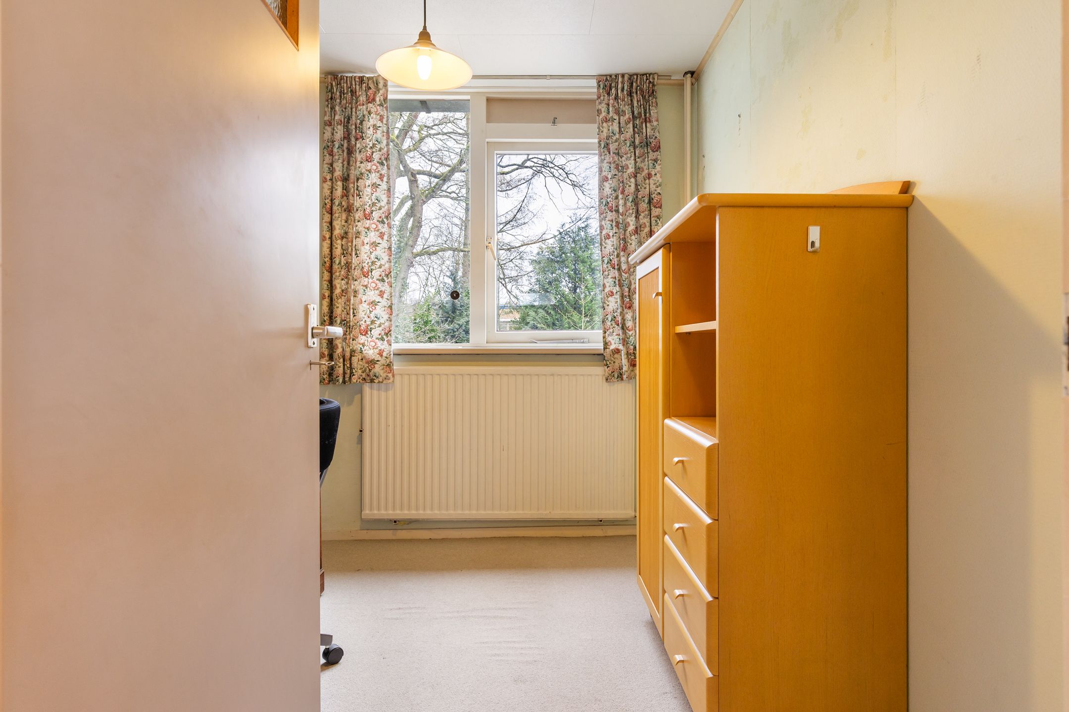 Foto 30 van Lippe-Biesterfeldstraat 29