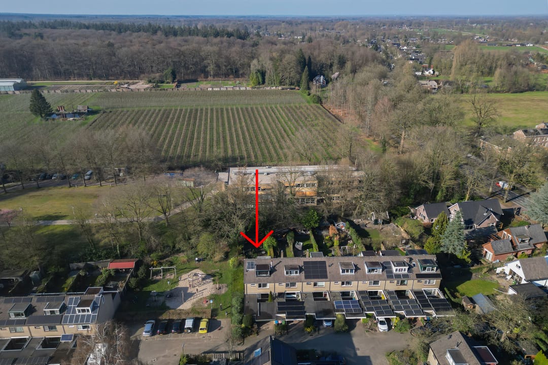 Foto 41 van Lippe-Biesterfeldstraat 29