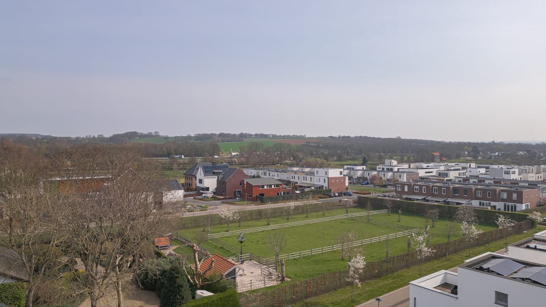 Foto 32 van Dotterbloem 19