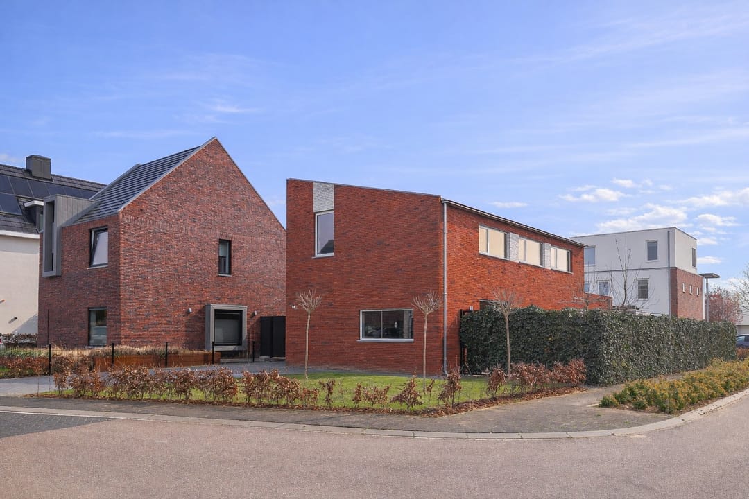 Foto 1 van Dotterbloem 19