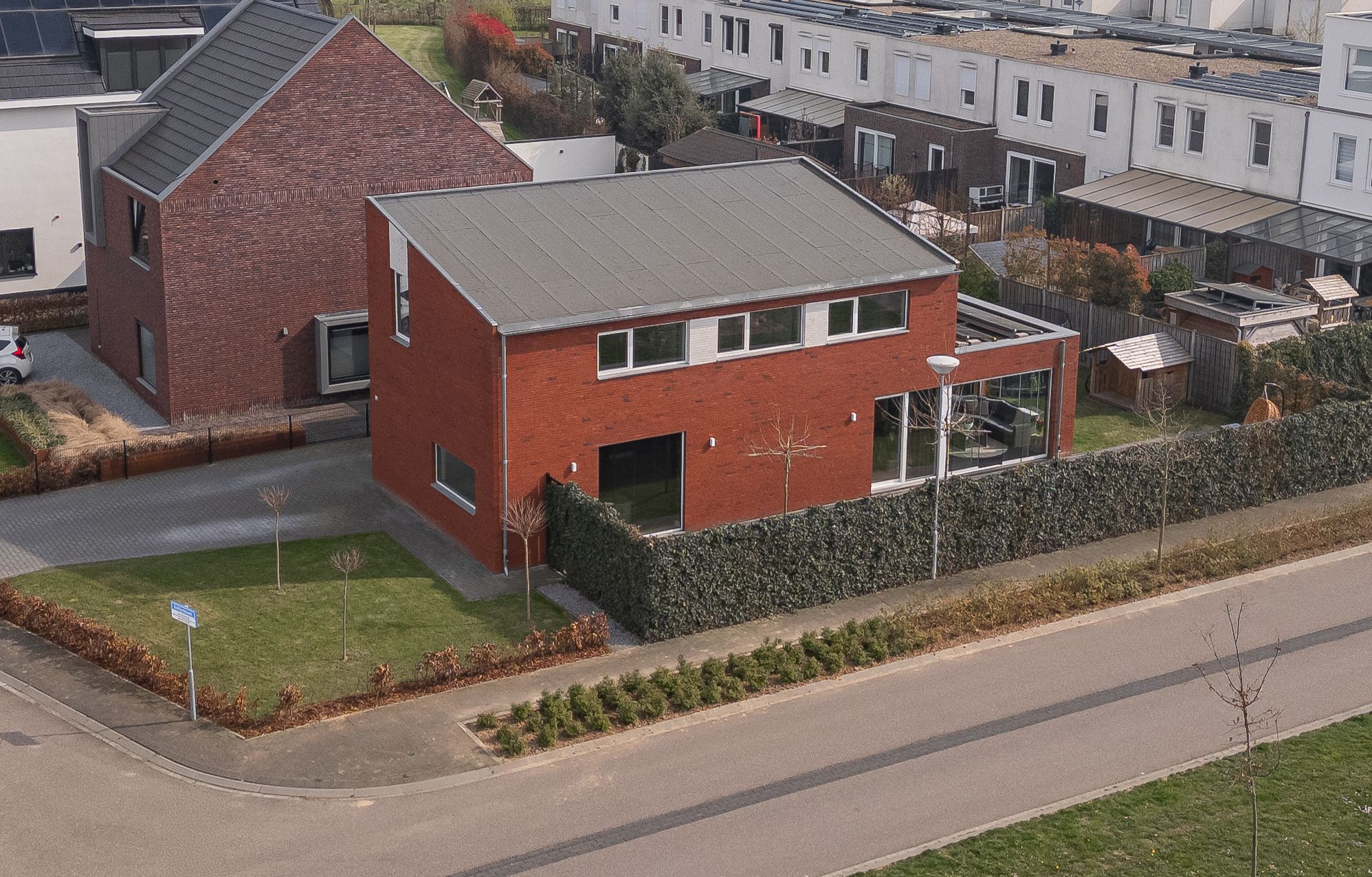 Foto 30 van Dotterbloem 19