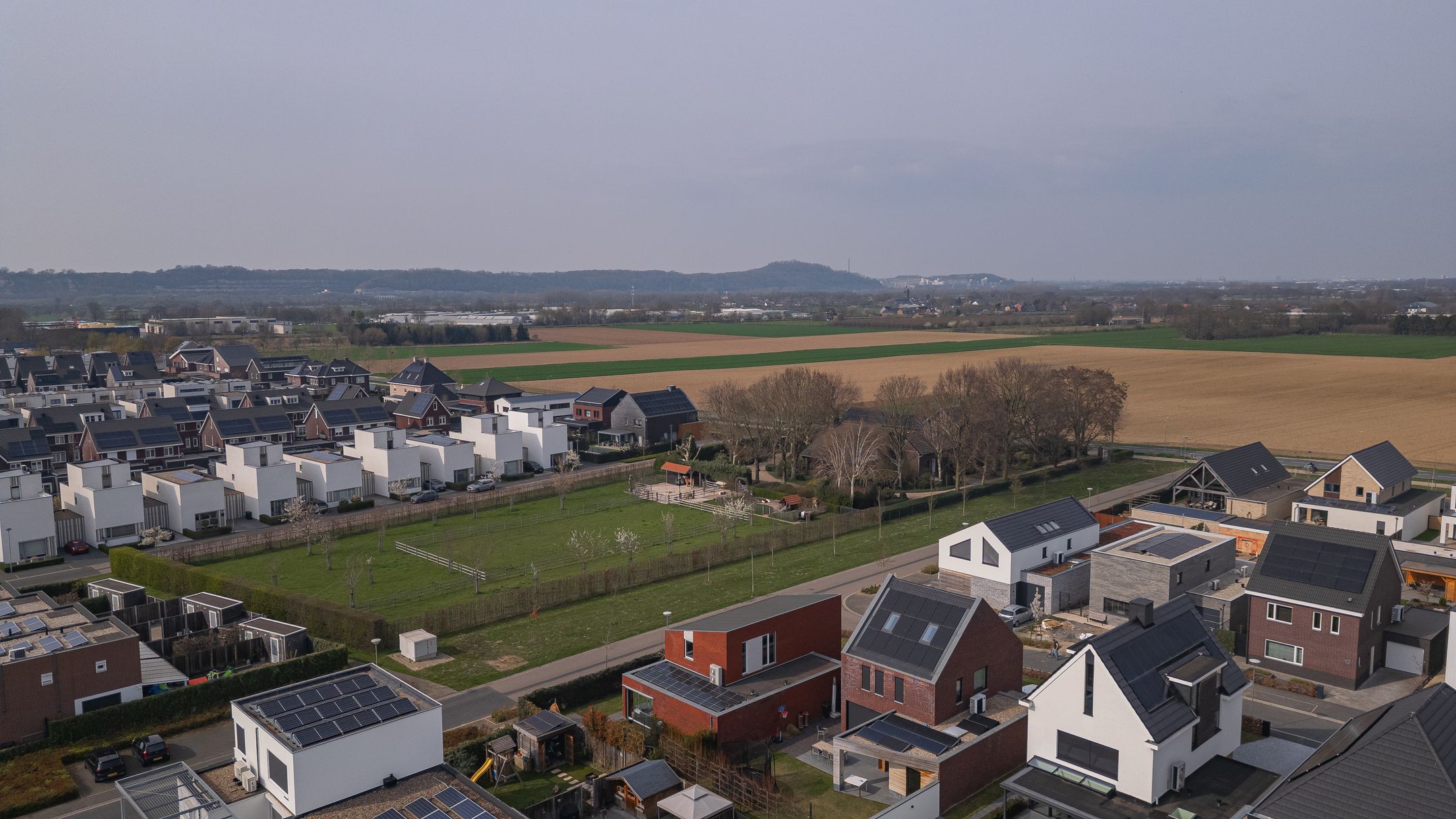 Foto 33 van Dotterbloem 19