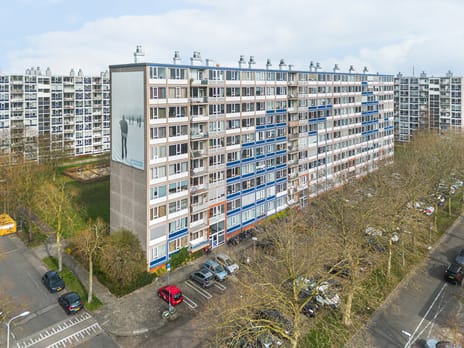 Jaap Edendreef thumbnail