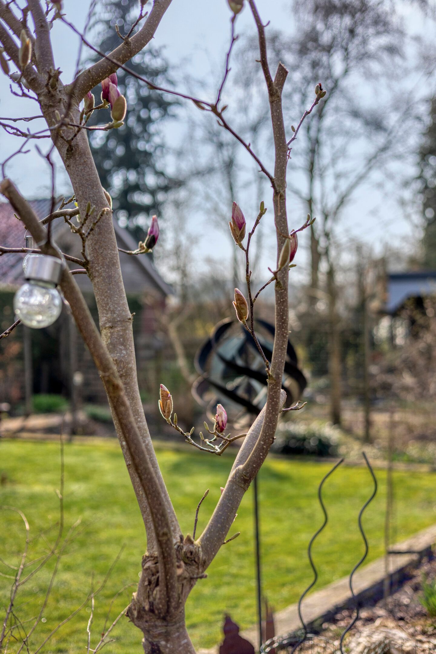 Foto 79 van Hereweg 236