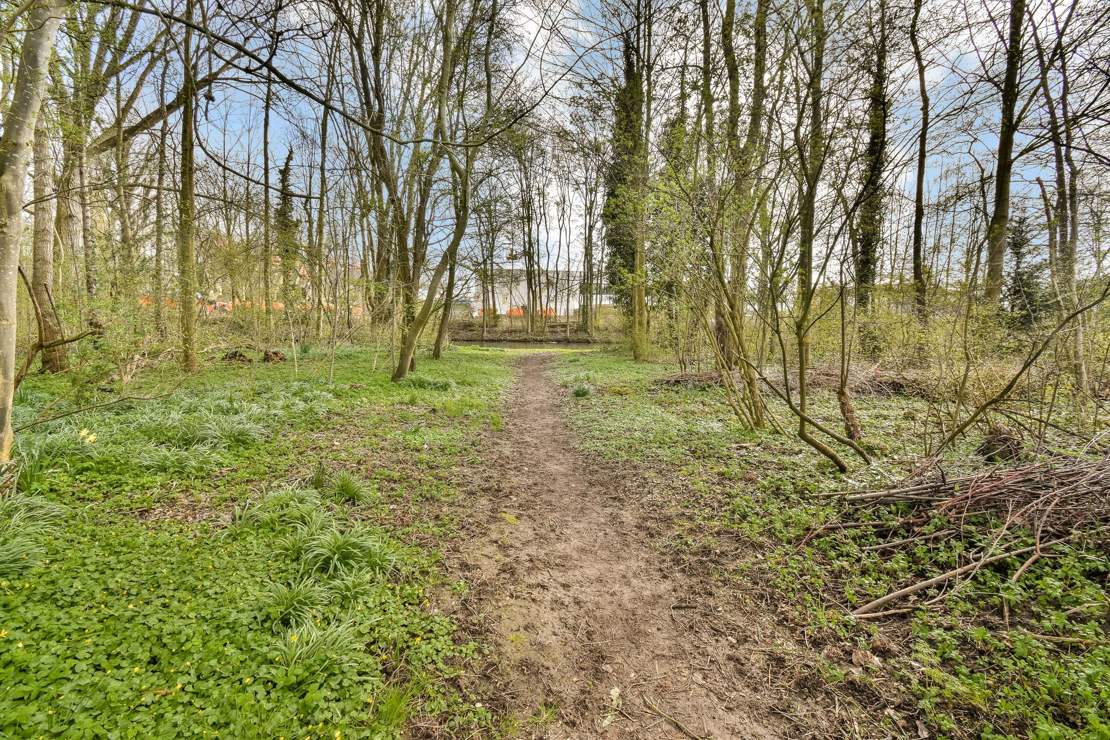 Foto 27 van Wielhovenstraat 6