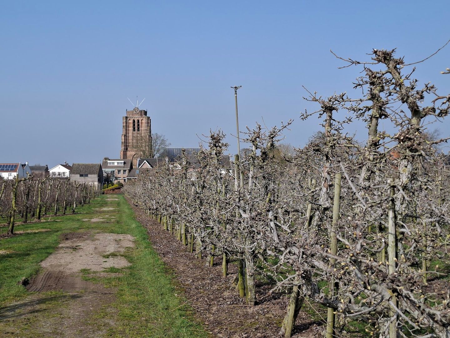 Bekijk foto 1 van Voorstraat 85