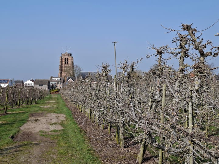 Voorstraat 85 - Beesd