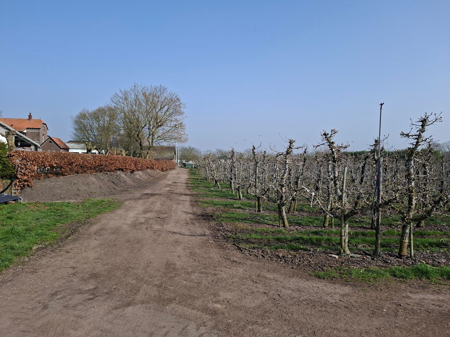 Bekijk foto 2 van Voorstraat 85