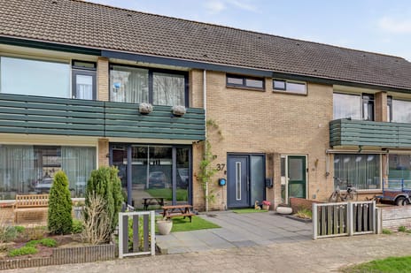 Van Oldenbarneveltstraat thumbnail