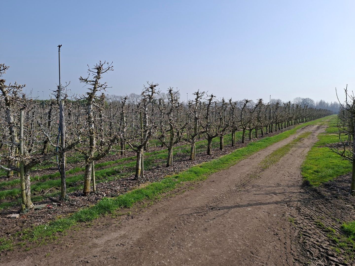 Bekijk foto 3 van Voorstraat 85