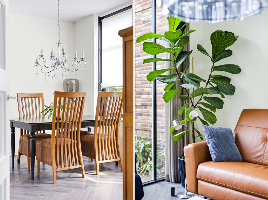 Foto 16 van De Insulindestraat 51