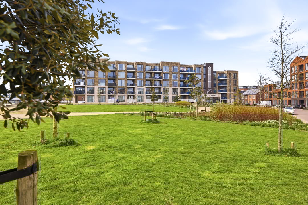 Foto 8 van De Insulindestraat 51