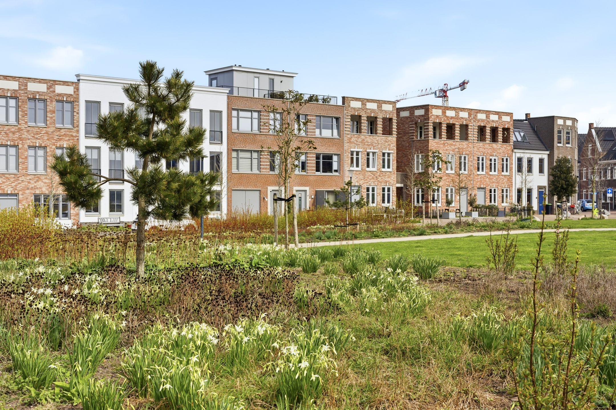 Foto 9 van De Insulindestraat 51