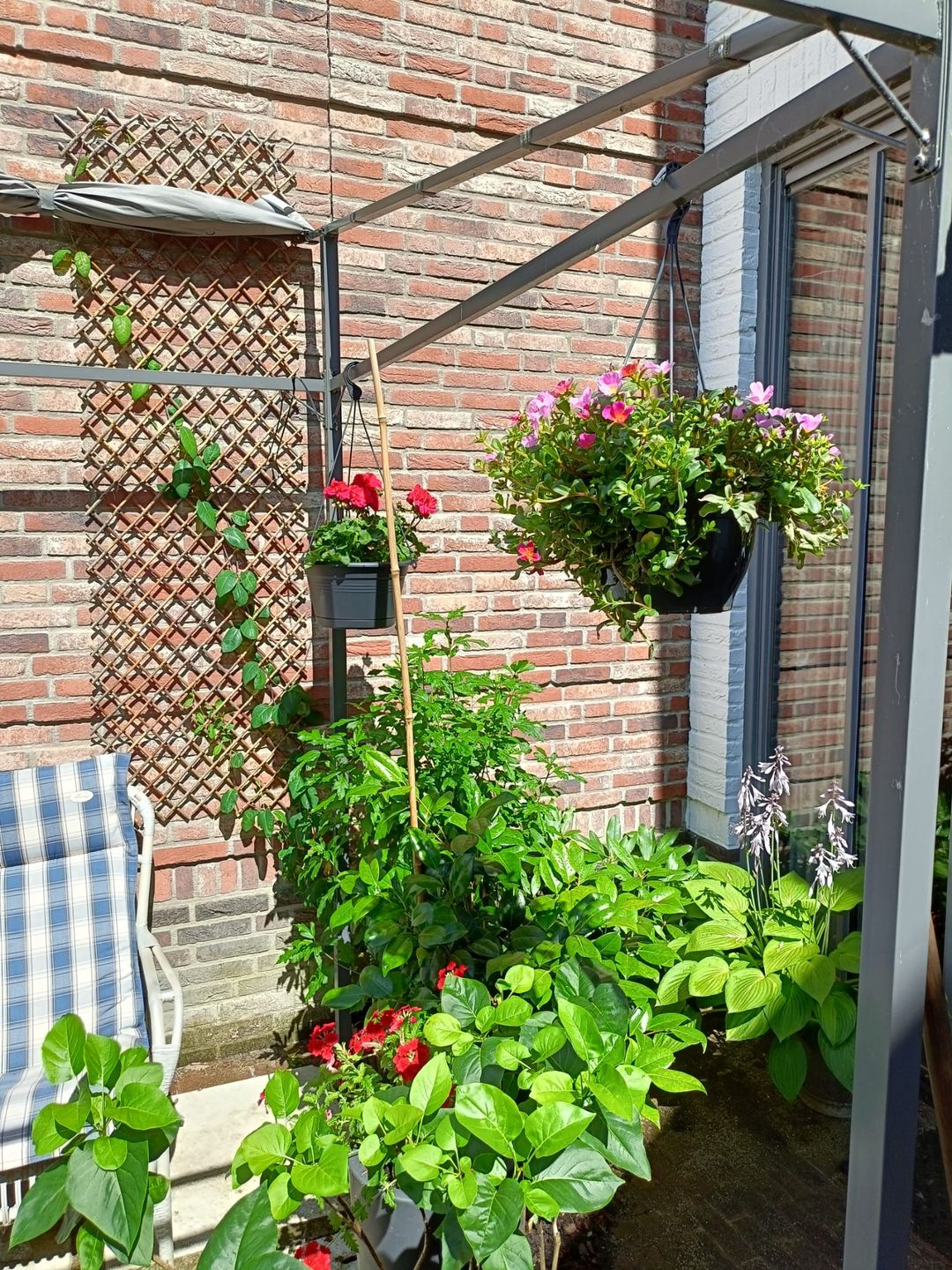 Foto 26 van De Insulindestraat 51