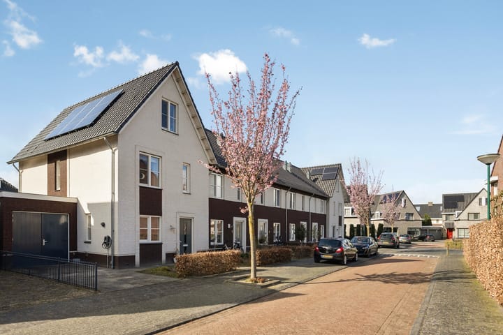 Photo 3 of Boskriek 5