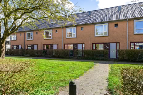 Turkooisstraat thumbnail