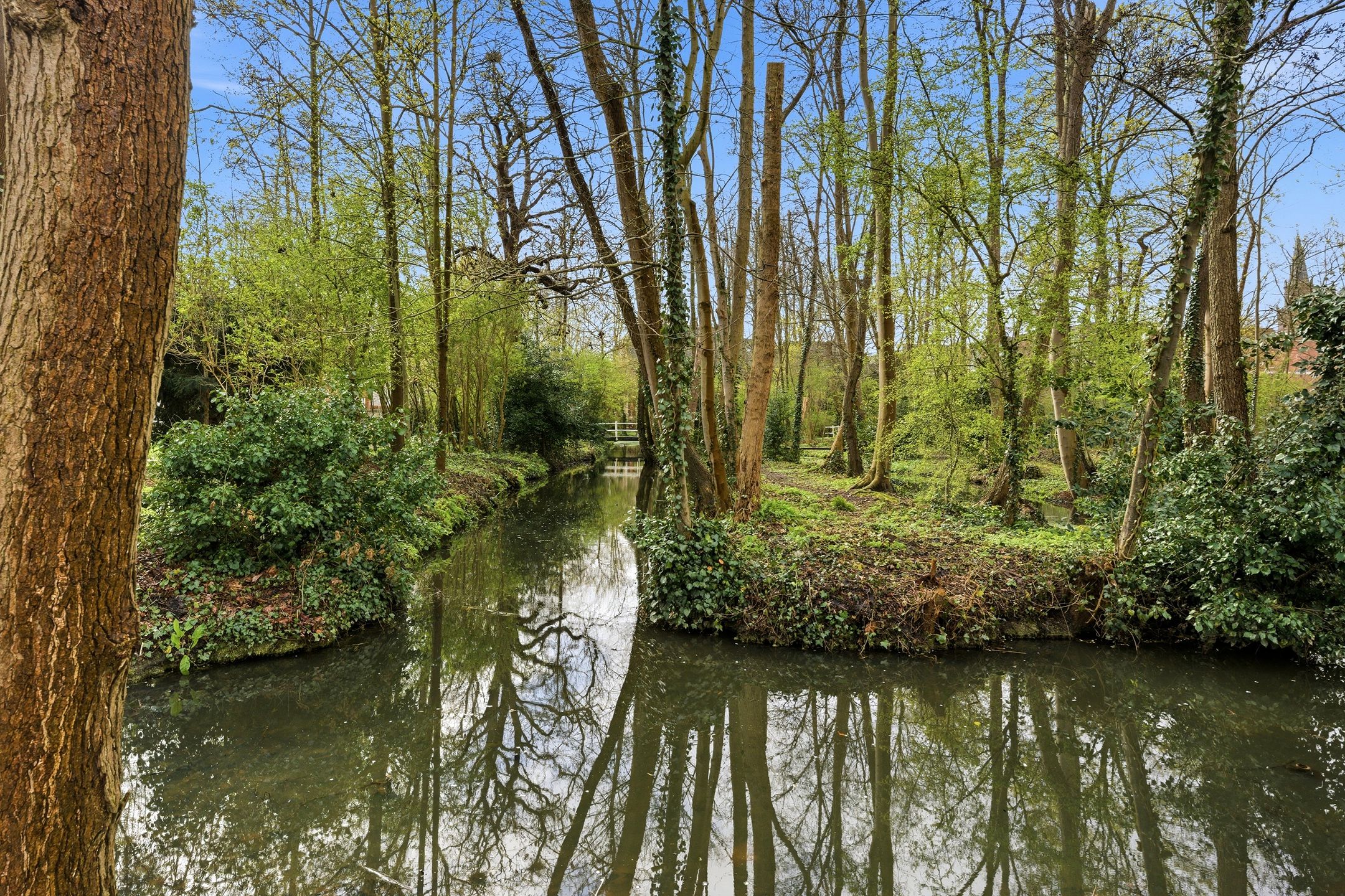 Foto 39 van Wilde Woutstraat 10