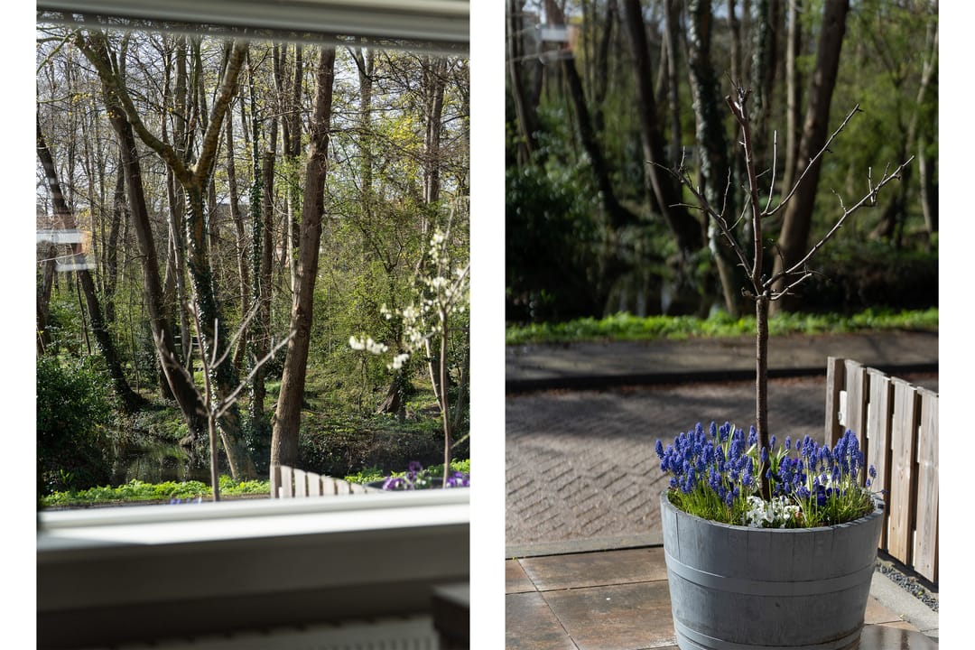 Foto 41 van Wilde Woutstraat 10