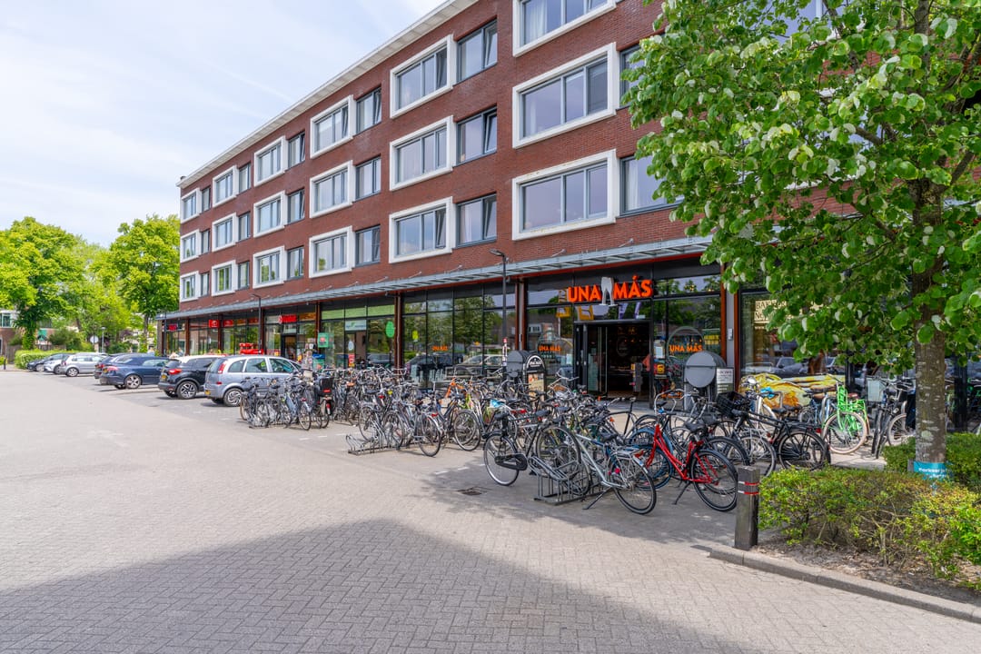 Photo 26 of Ina Boudier-Bakkerlaan 28-T