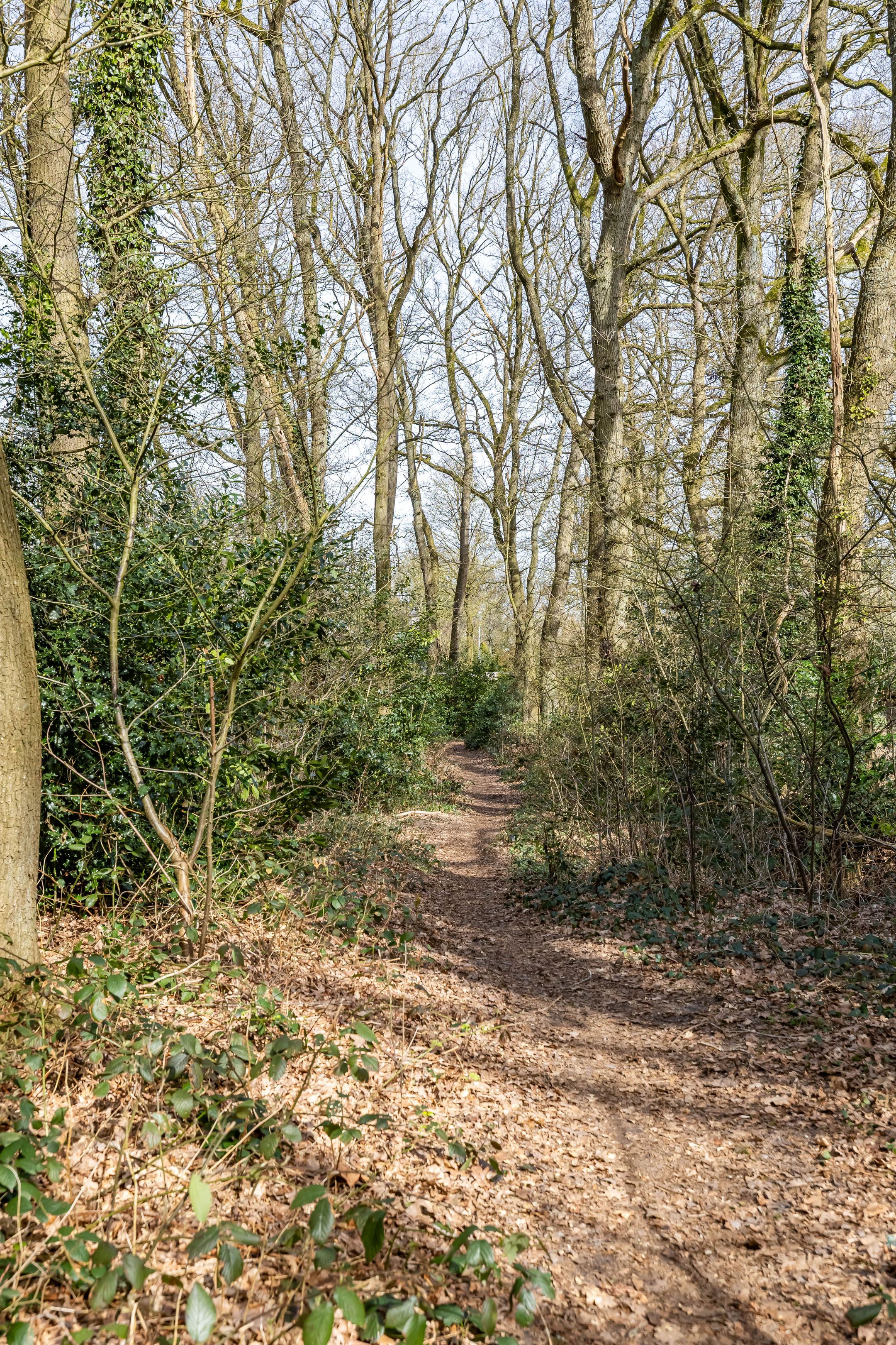Photo 69 of Etstoel 23
