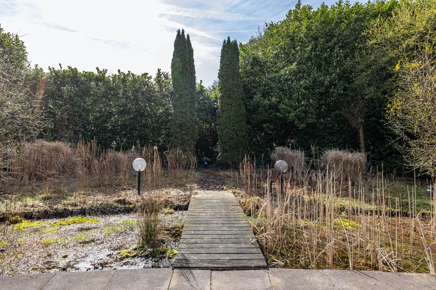 Photo 64 of Etstoel 23