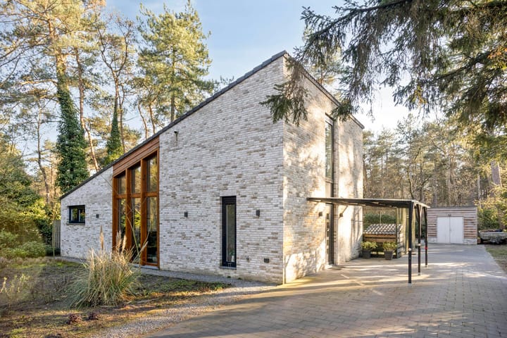 Photo 2 of Schaluinen 11-B379