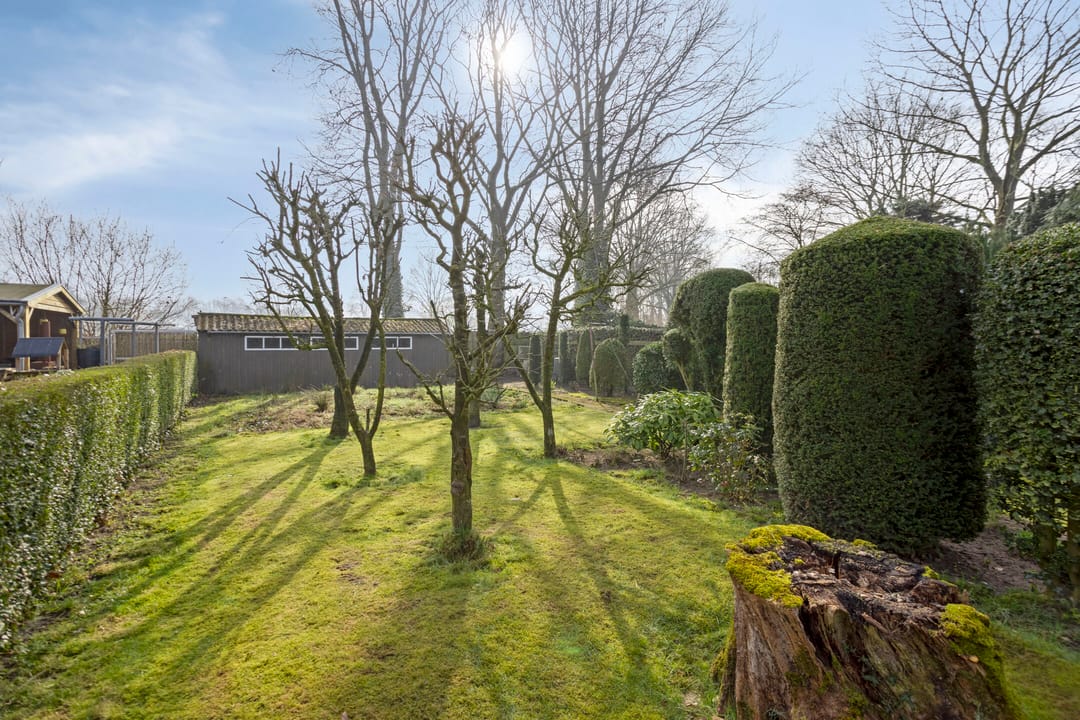 Foto 31 van Langstraat 105