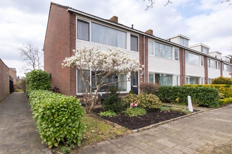 Gozewijnstraat thumbnail