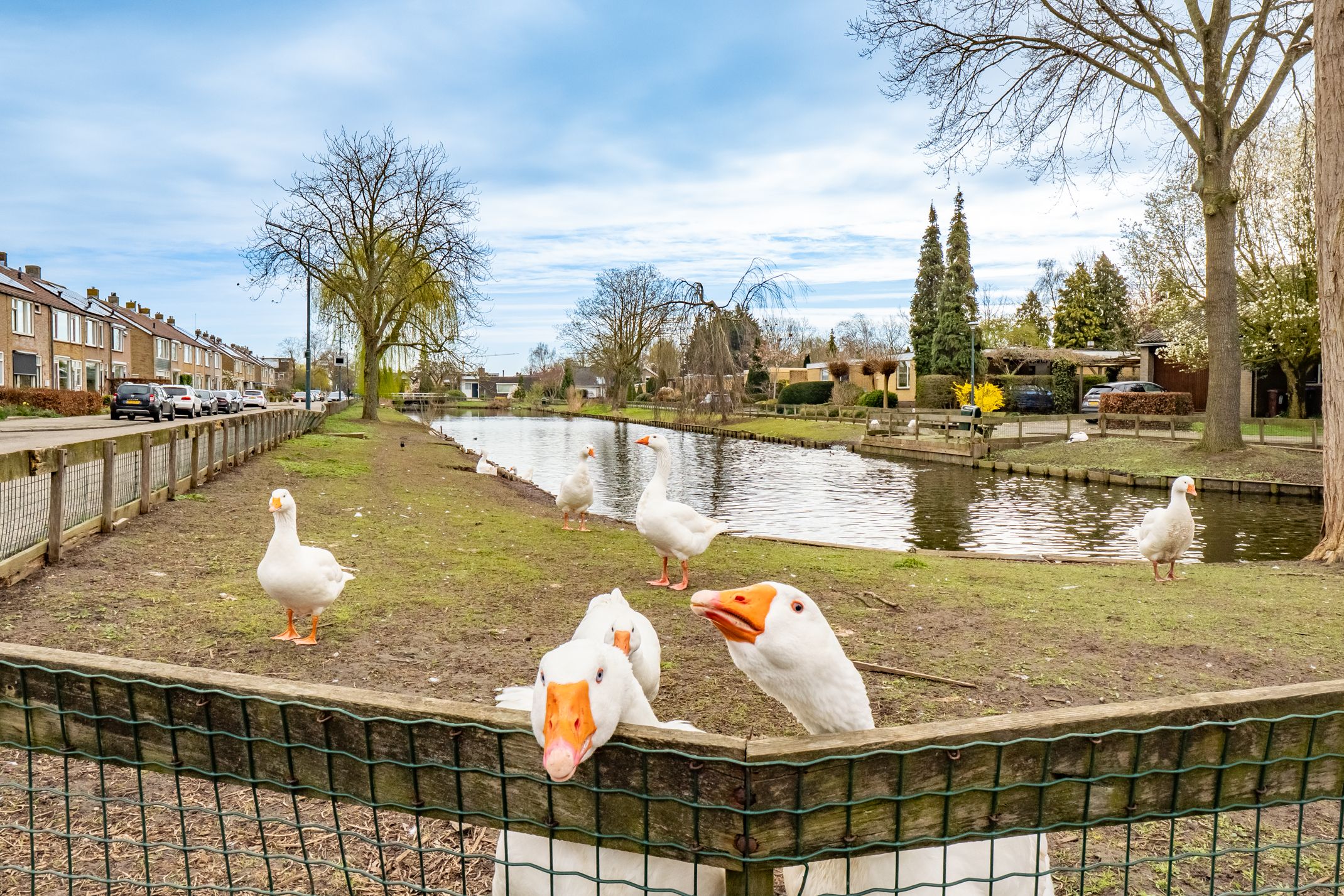 Photo 48 of Europasingel 7