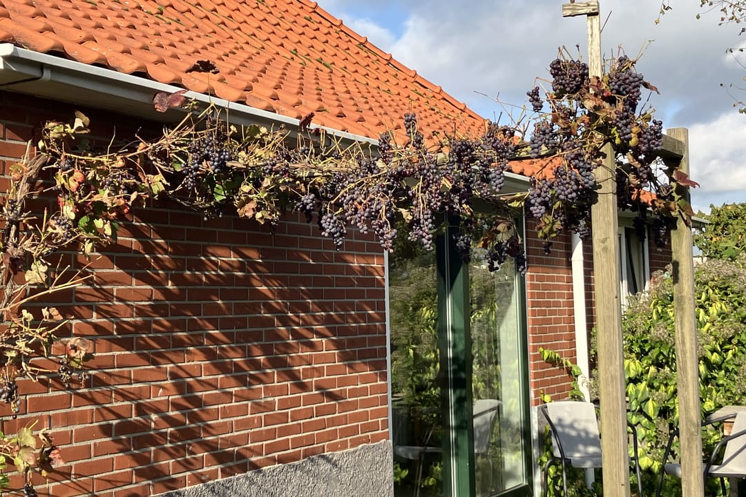 Foto 58 van 3e Oomsberg 28