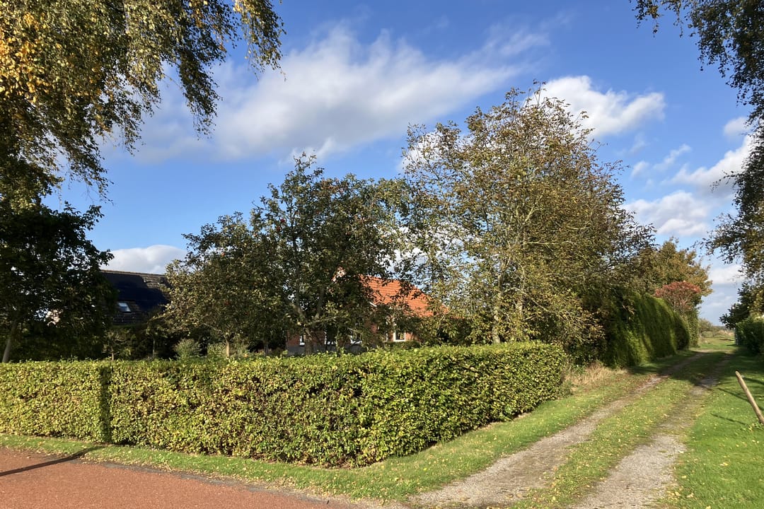 Foto 62 van 3e Oomsberg 28