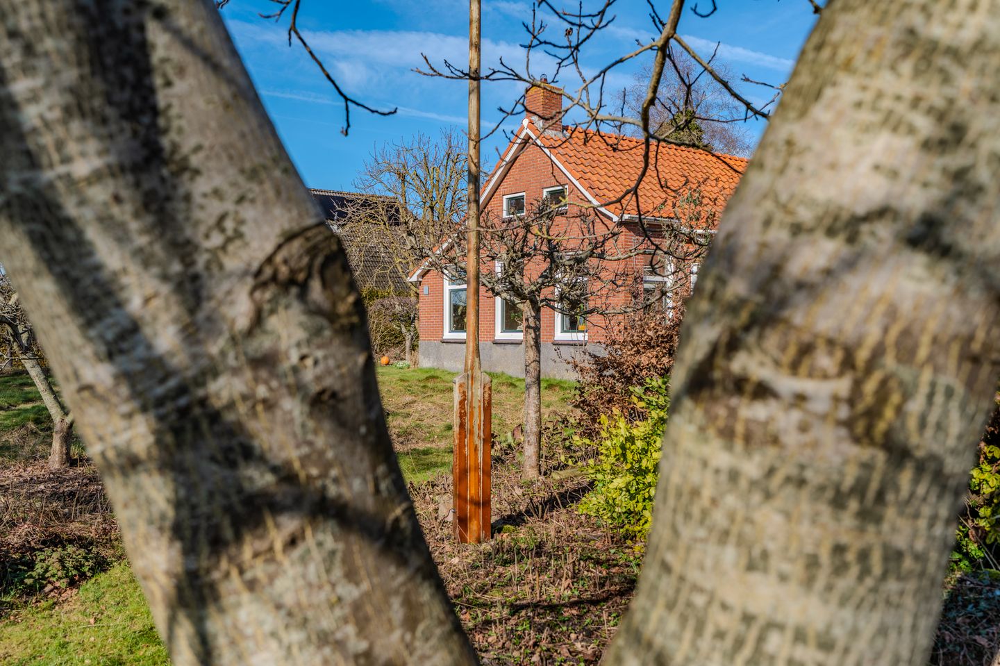 Foto 5 van 3e Oomsberg 28