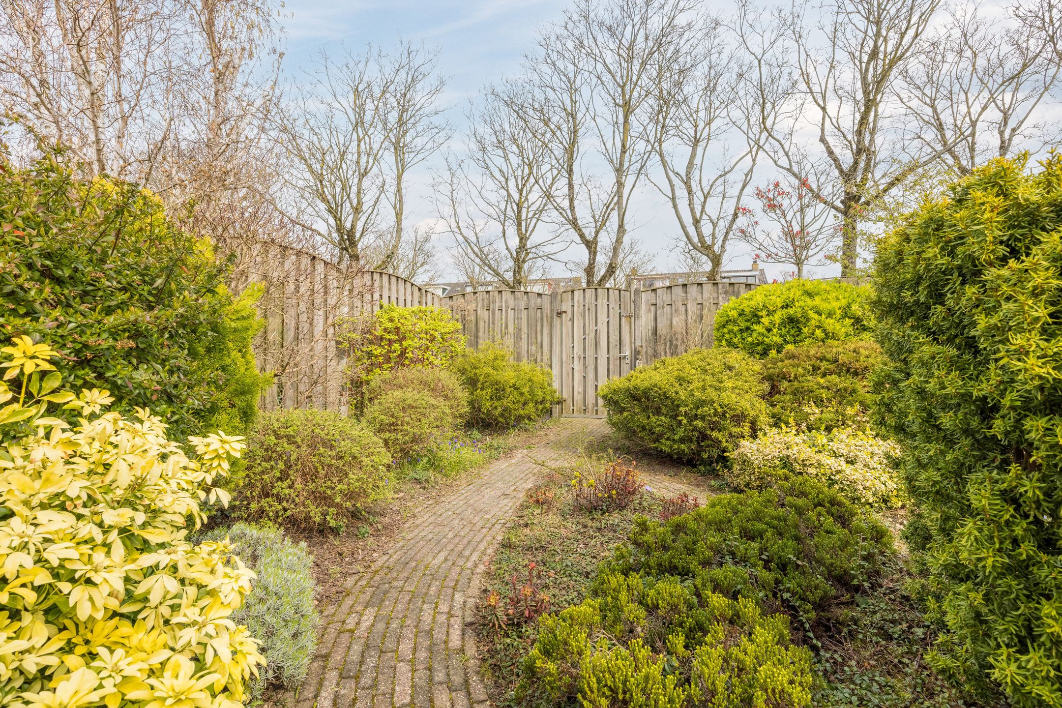 Foto 33 van Patiostraat 10