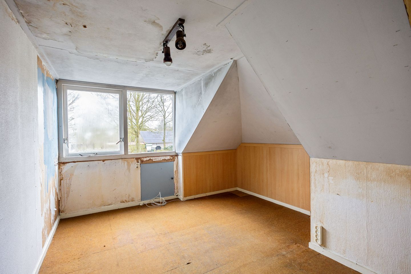 Photo 25 of Wierde 29