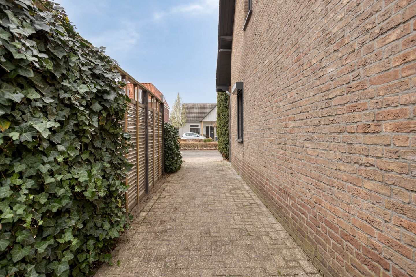 Foto 49 van Goedentijd 38